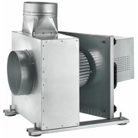 MUTFAK EGZOZ FANLARI